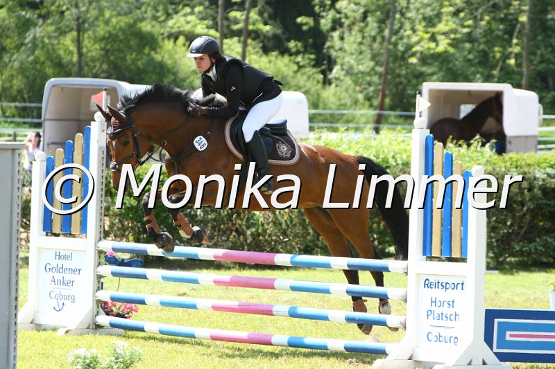 204M3470_Ludwig der Loewe_Stil_WB_E.JPG